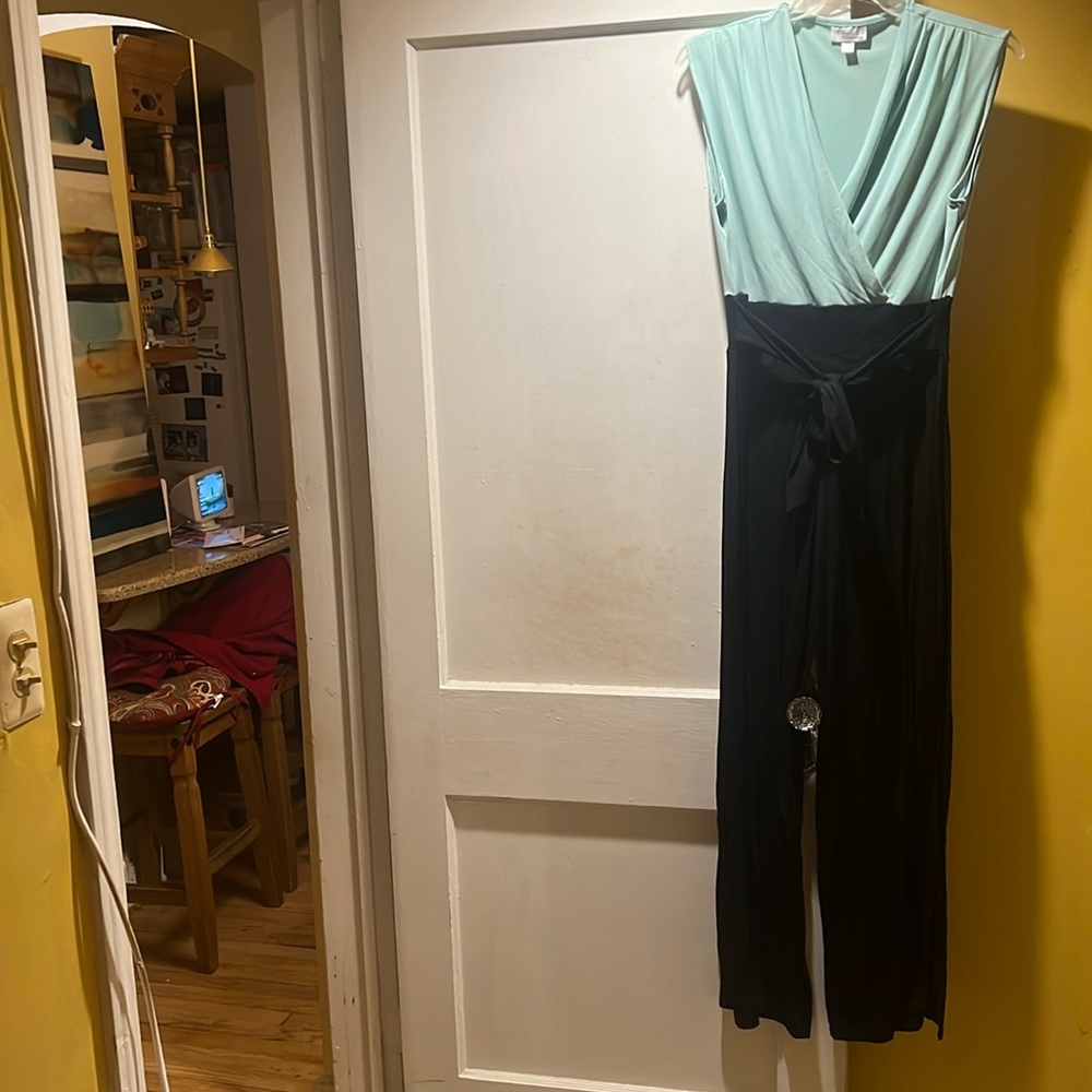Jumpsuit, Brand: Allison Brittney, size: L, mint green on top, black on bottom